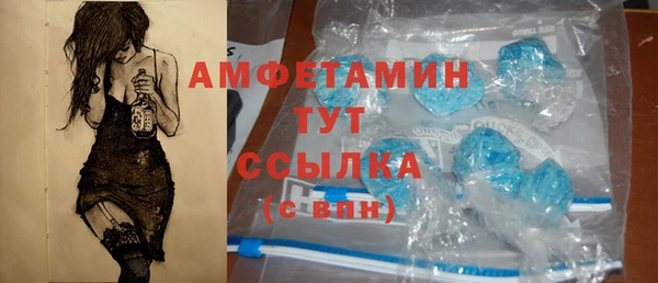 сатива Заводоуковск