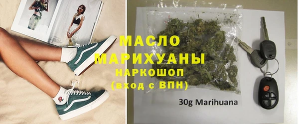 сатива Заводоуковск
