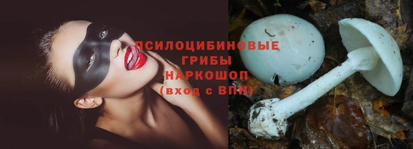 стаф Заволжск