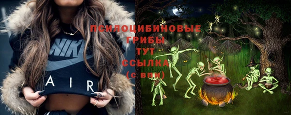 стаф Заволжск