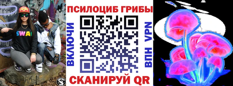 Купить закладки  Нерюнгри  Псилоцибиновые грибы мухоморы 